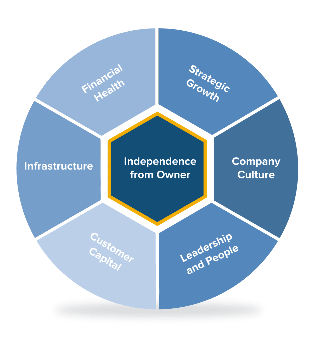 7 drivers model