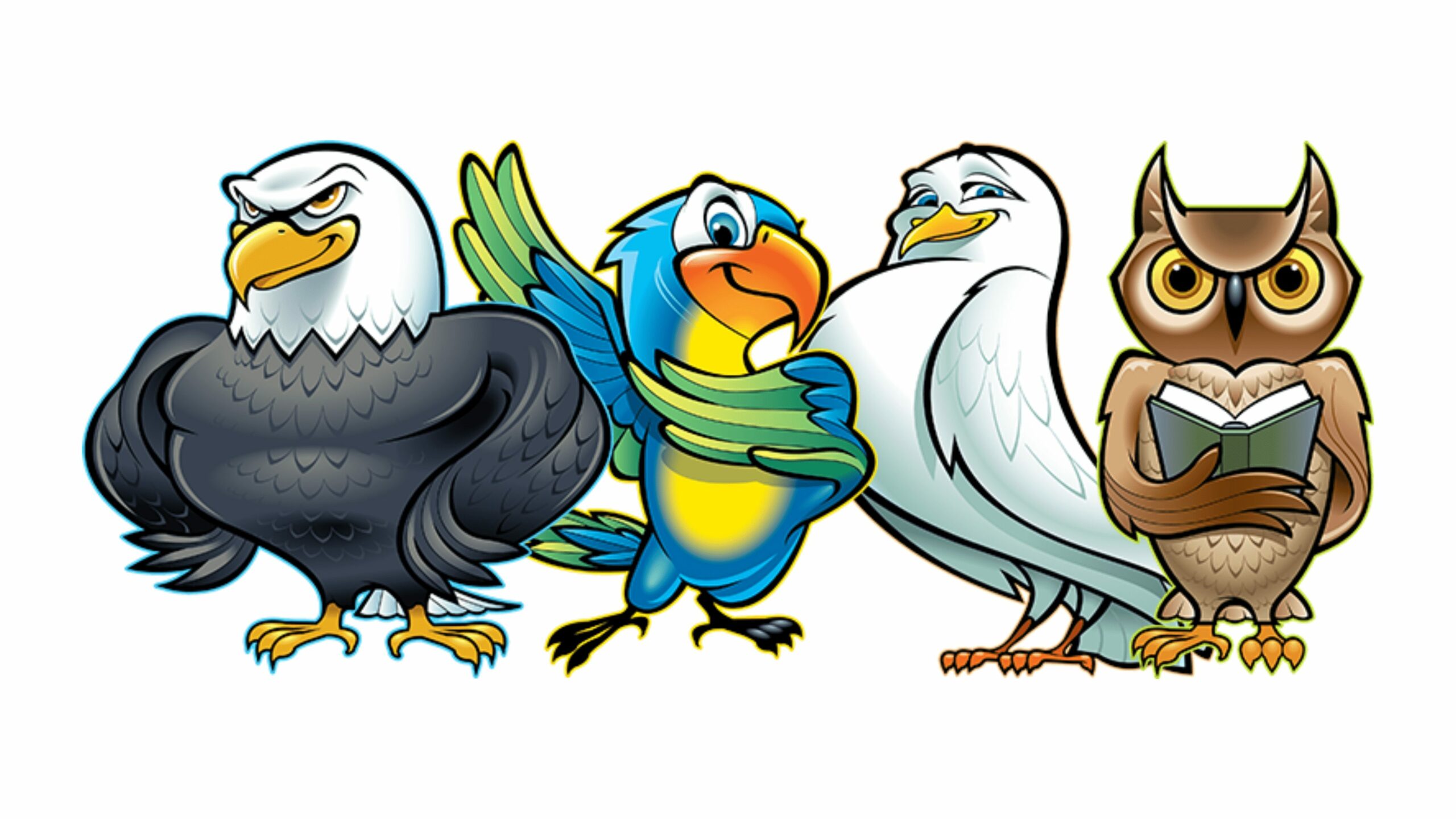 Birds DISC