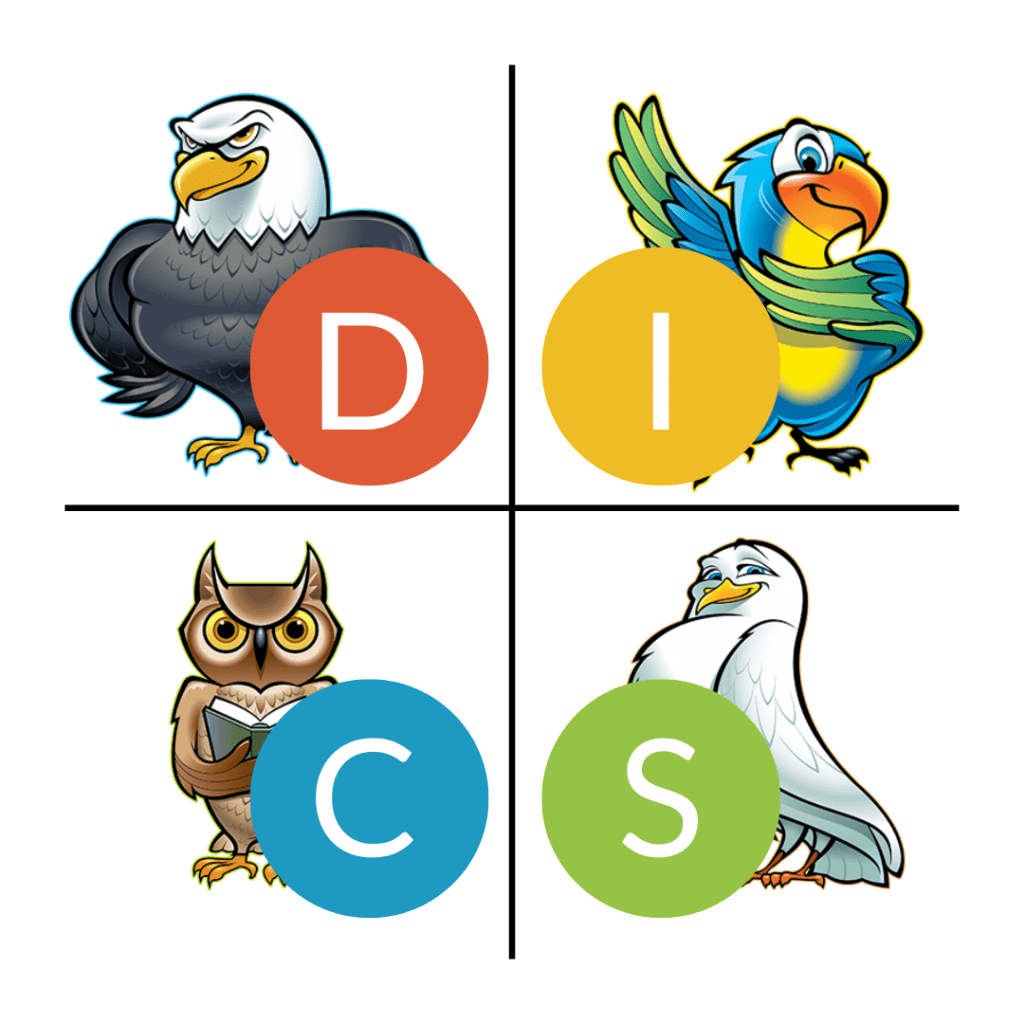 introducing-disc-assessments-velocity-advisory-group