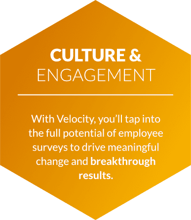 Culture and Engagement Hex culture and engagement