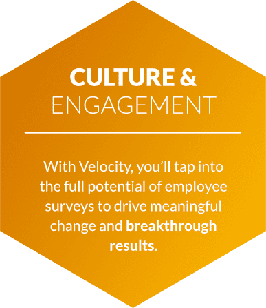 culture and engagement