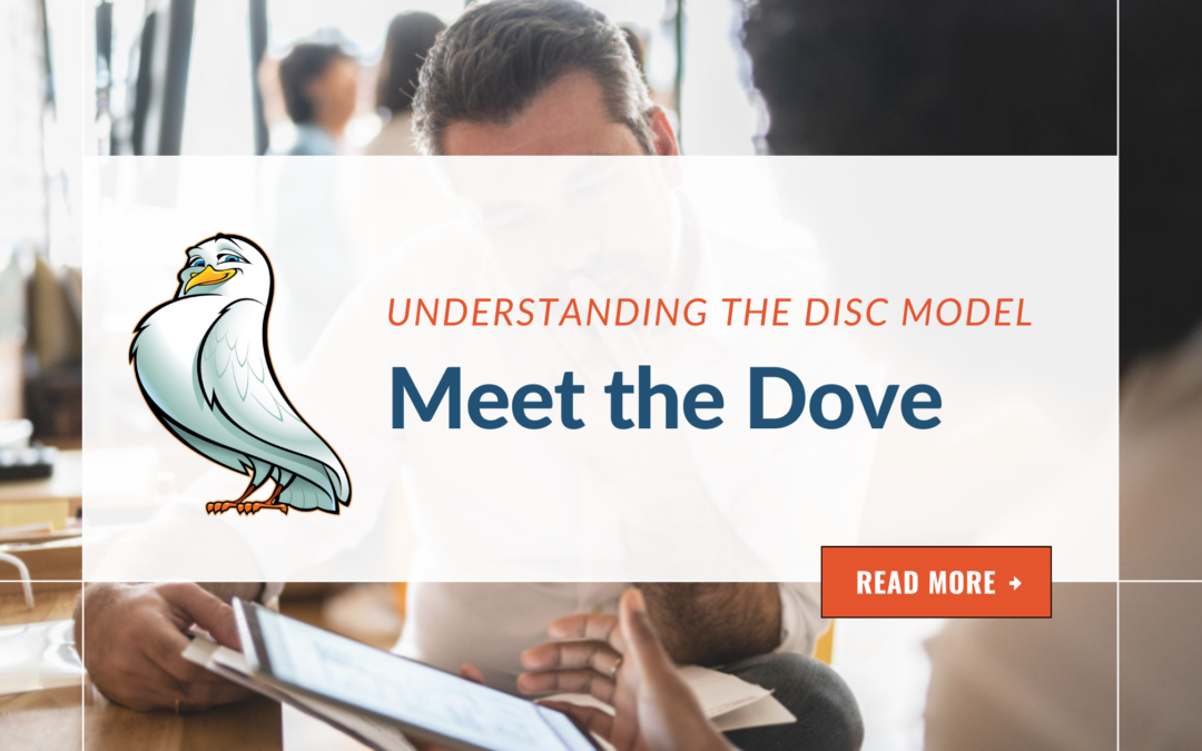 Understanding the DISC model: Supportive Style