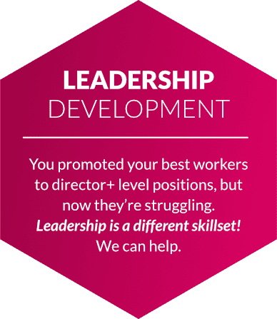 leadership development